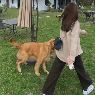 无辜的强暴